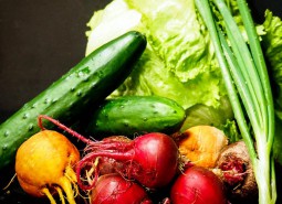 蘭州城關區24立方蔬菜保鮮冷庫設計工程-萬能制冷
