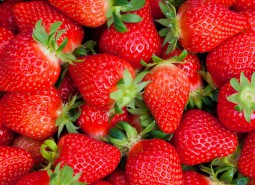 臨夏12.8平米櫻桃草莓保鮮冷庫設計工程-萬能制冷