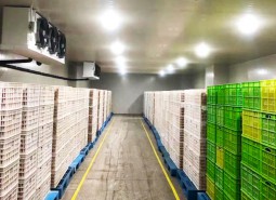 武威民勤1200平米蔬菜冷庫安裝工程