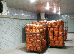甘肅蘭州96平米蔬菜保鮮庫安裝工程-萬能制冷