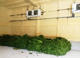 金昌市50平米蔬菜保鮮庫安裝工程-萬能制冷